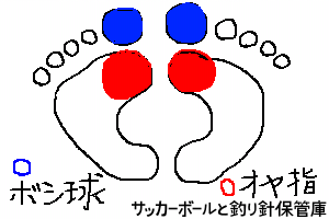 親指と拇指球の位置を足跡で説明した絵